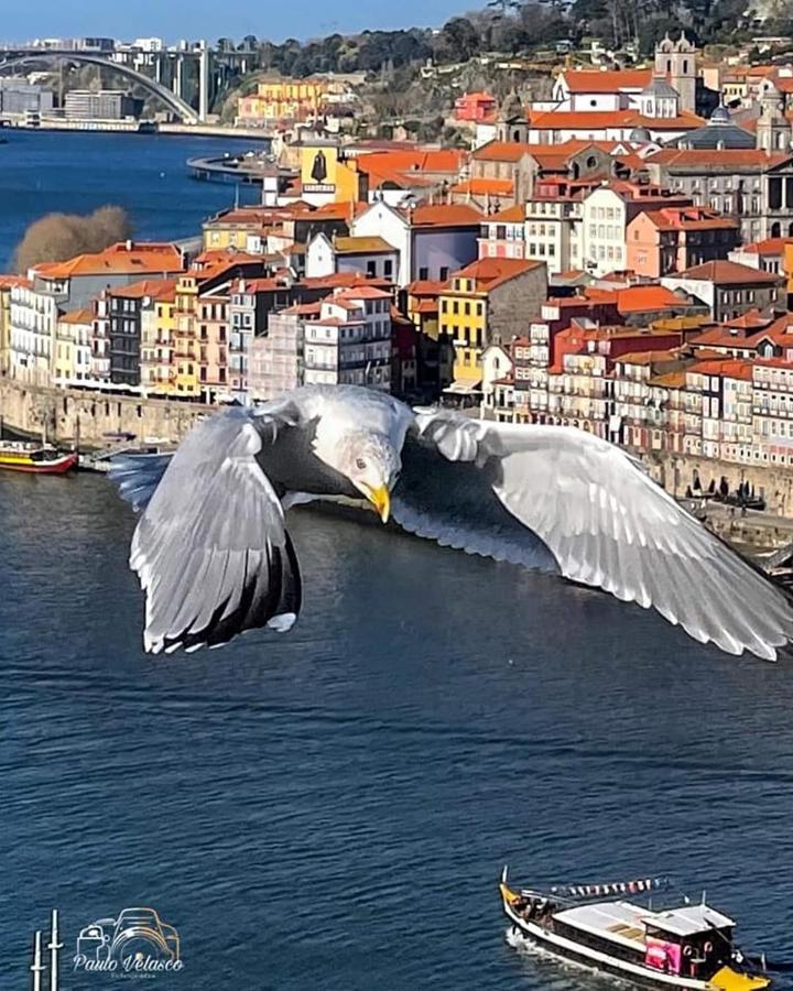Casa Mira Douro Villa Vila Nova de Gaia Kültér fotó